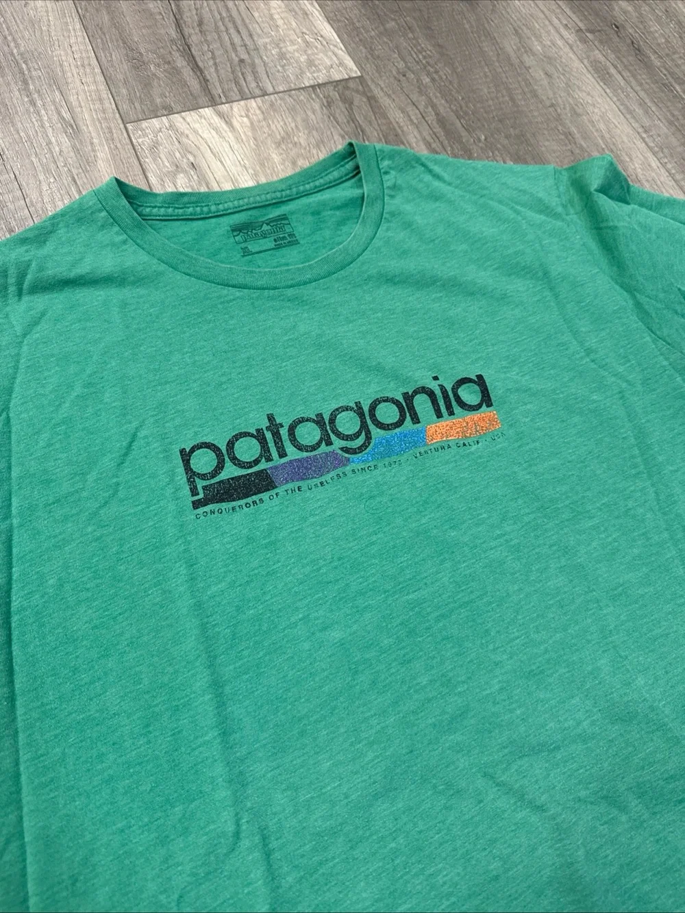 Patagonia Green Logo Short Sleeve Crew Tee